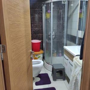 Sahibinden kiralık bayan ev arkadaşı arıyorum (eşyalı ev) (#3)