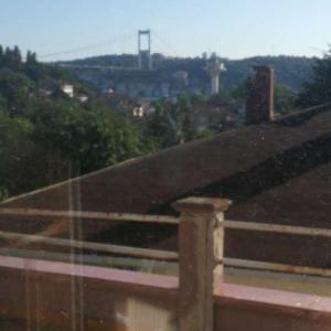 Housemate wanted (#2)