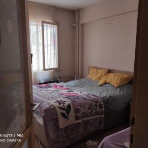 Ev arkadaşı arıyorum 🌸 (#1)