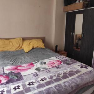 Ev arkadaşı arıyorum 🌸 (#2)