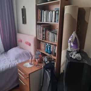 Bayan ev arkadaşı (#1)