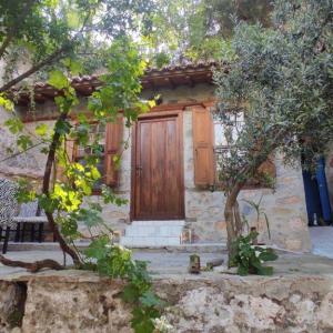 Dubleks, müstakil, bahçeli tarihi konağa ev arkadaşı arıyorum (#3)